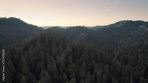 Sunset on redwood forest in Northern California mountains