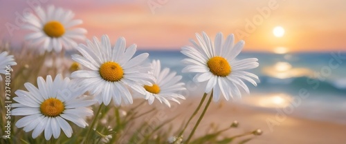 A close-up of two white daisies with yellow centers against a blurred background of a sunset sky and ocean © sanart design