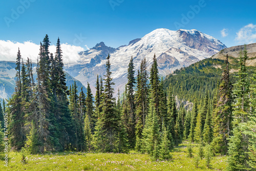 Mountain Rainier mountain and evergreen forest during summer in Washington State, USA. photo