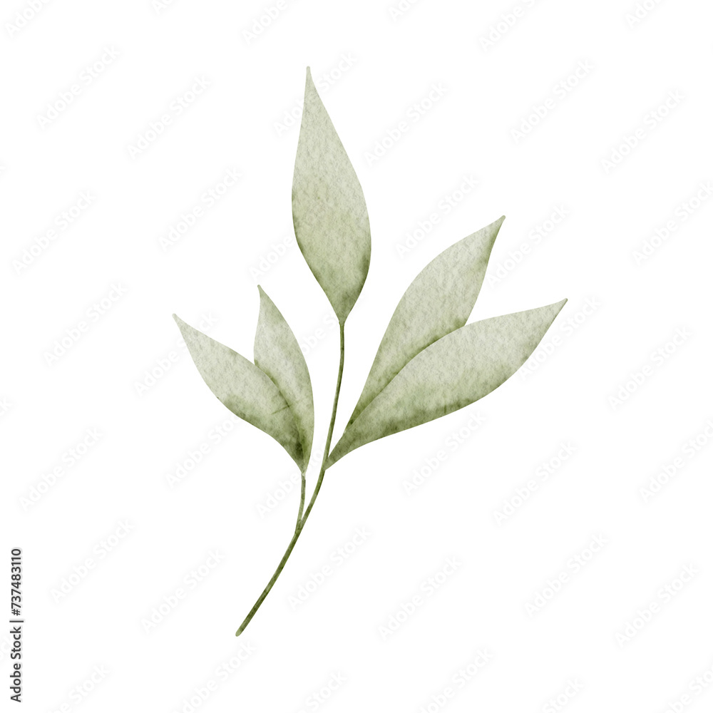 Watercolor spring leave on white background Watercolor spring leave on white background
