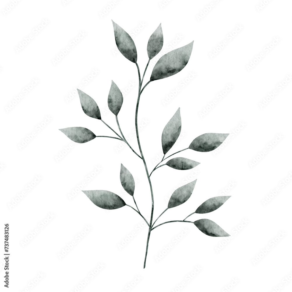 Fototapeta premium Watercolor spring leave on white background