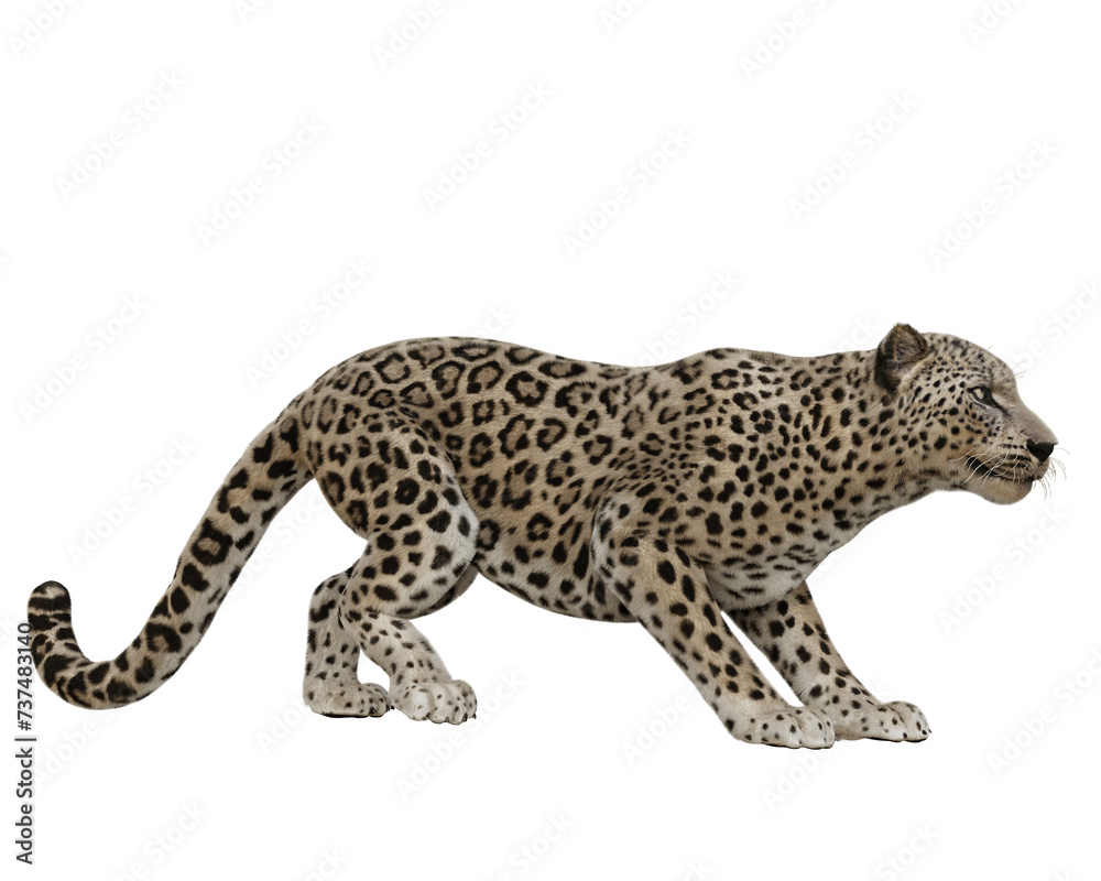 Naklejka premium A 3d rendered leopard isolated on a transparent background 