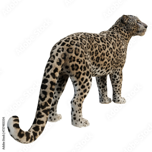 A 3d rendered leopard isolated on a transparent background  