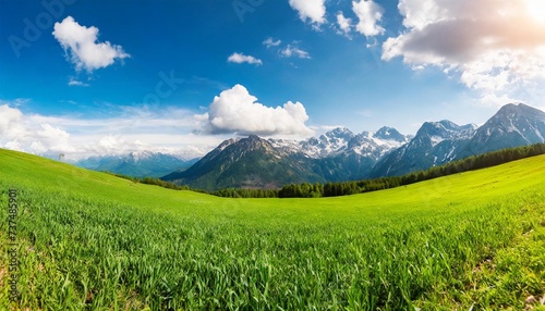 panoramic natural landscape with green grass field blue sky with clouds and and mountains in background panorama summer spring meadow shallow depth of field