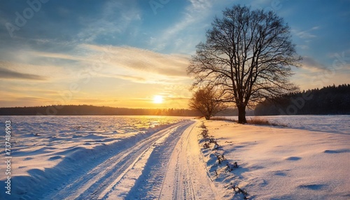 winter sunset landscape with tree and field way © Joseph