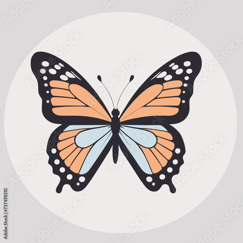 A butterfly with orange and blue on isolated background, nature symbol vector illustration design