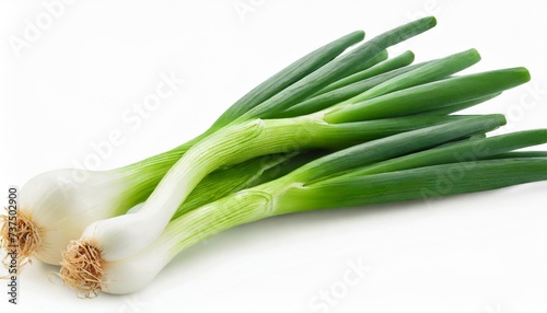 green onion isolated on the white background with full depth of field
