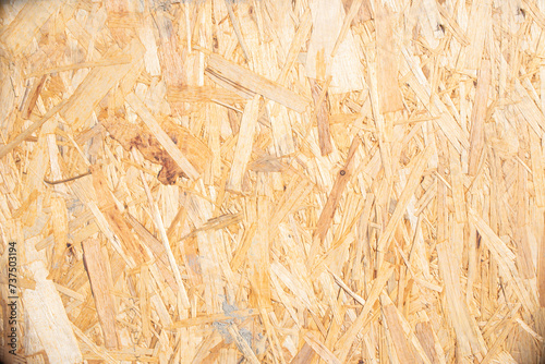 Light texture of wood chips photo