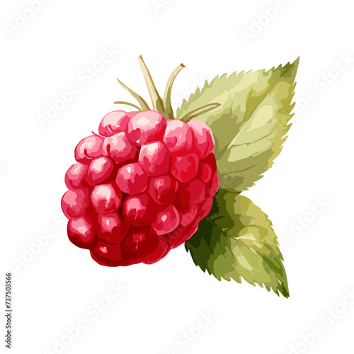 Vector clip art illustration of a raspberry design on a white background.