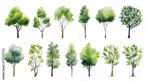Set of watercolor green tree isolated on white background for landscape and architecture drawing, elements for environment and garden, botanical for section in spring
