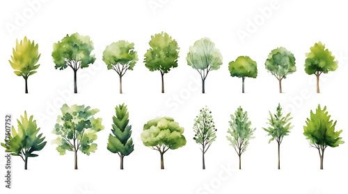 Fototapeta Naklejka Na Ścianę i Meble -  Set of watercolor green tree isolated on white background for landscape and architecture drawing, elements for environment and garden, botanical for section in spring
