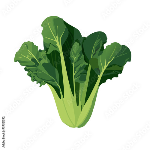 Collard Greens Vegetable Illustration