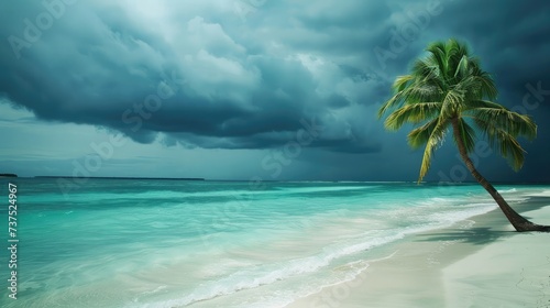 Beautiful beach with palm trees and moody sky Summer vacation travel holiday background concept