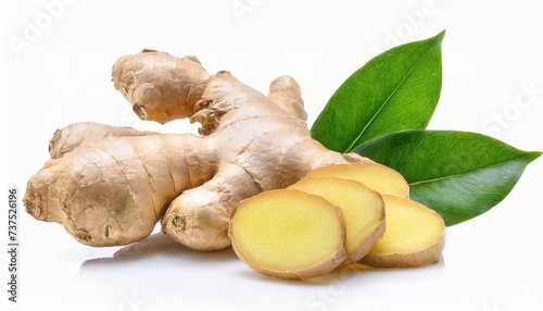 ginger root with leaves isolated on white background photo