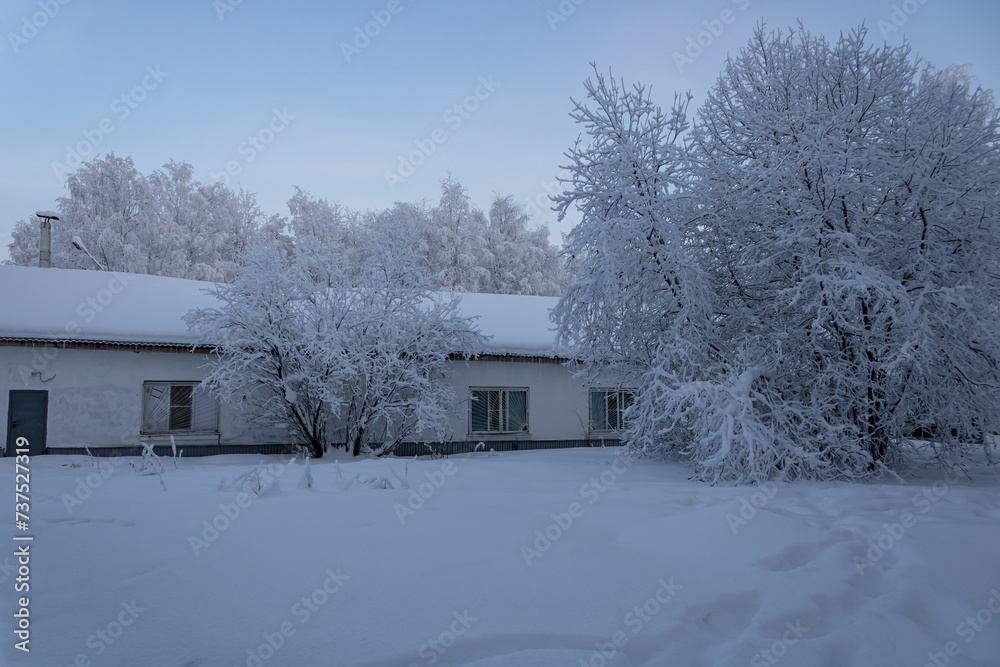 Snow-covered trees, building with snow-covered roof, windows with icicles. A day during the polar night in the Far North of Russia. Snow-covered trees, building with snow-covered roof, windows with icicles. A day during the polar night in the Far North of Russia.
