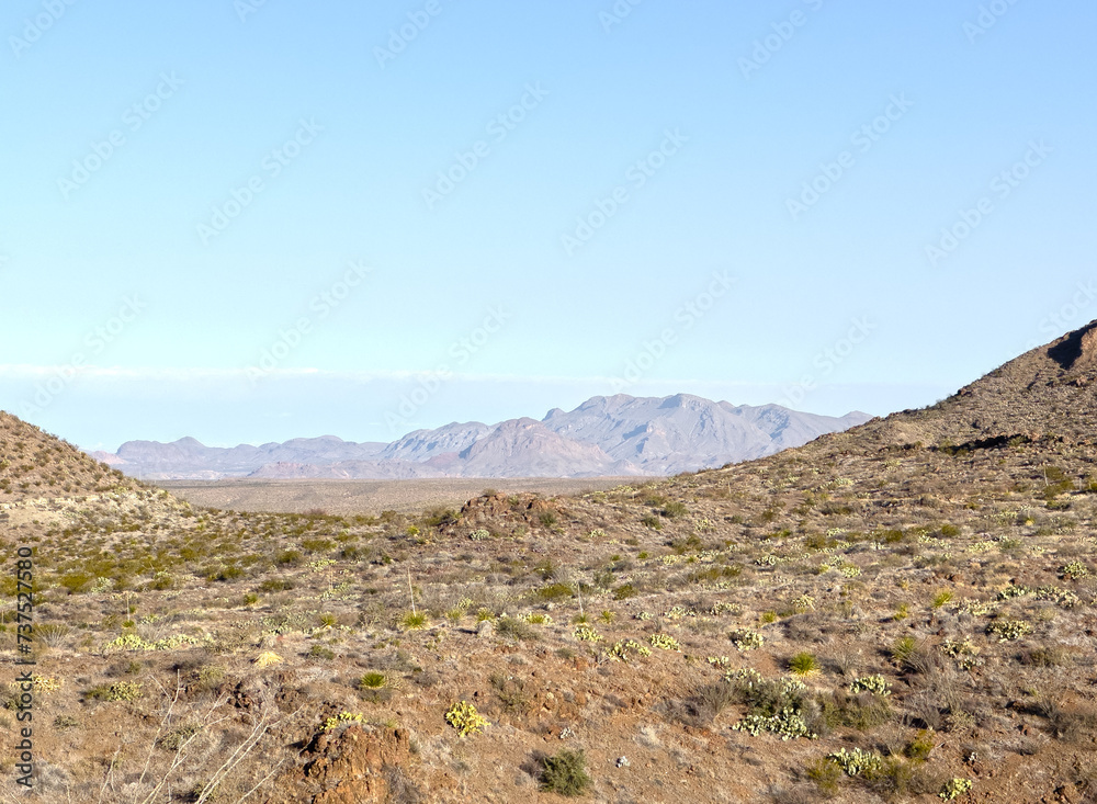 A vast and open desert landscape, featuring sandy hills, rocky mountains and green and yellow plants and cactus. Big Bend National Park Texas.