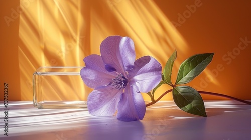 a single purple flower sitting on top of a table next to a glass vase with a green leaf on it. photo