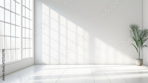 a white room with a potted plant on the floor and a large window on the side of the room.