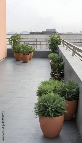 Empty outdoor roof terrace with potted plants in minimal style