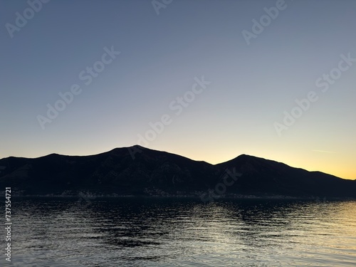 Palm trees, silver sunset sea, romantic sunset, look like pineapples, Montenegro Kindness Mountains Sea Walk Adventure Tourism attraction