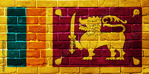 Flag of Democratic Socialist Republic of Sri Lanka on a textured background. Concept collage.