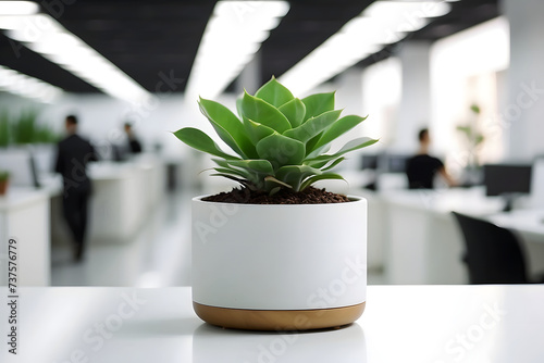 flower in focus, in the background employees work in a stylish office