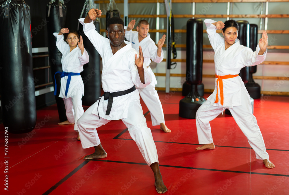 Fototapeta premium Multiracial group of men and women in kimono performing kata in gym during training.