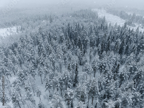 Scenic aerial panoramic photo of heavy snowfall over Scandinavian pine tree forest