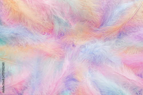 Fluffy pastel colored feathers. Soft gentle feather background.