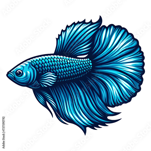 blue betta fish © Herman