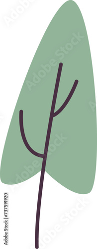 Sorrele Sprout Microgreen