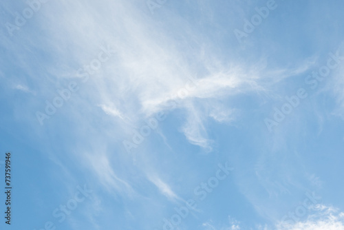 Fototapeta Naklejka Na Ścianę i Meble -  Light ethereal white clouds high in a sunny blue sky, as a nature background
