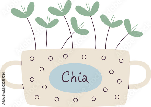 Chia Microgreen In Pot