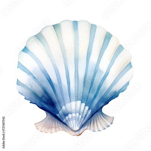Blue Watercolor Cute Seashell Illustration