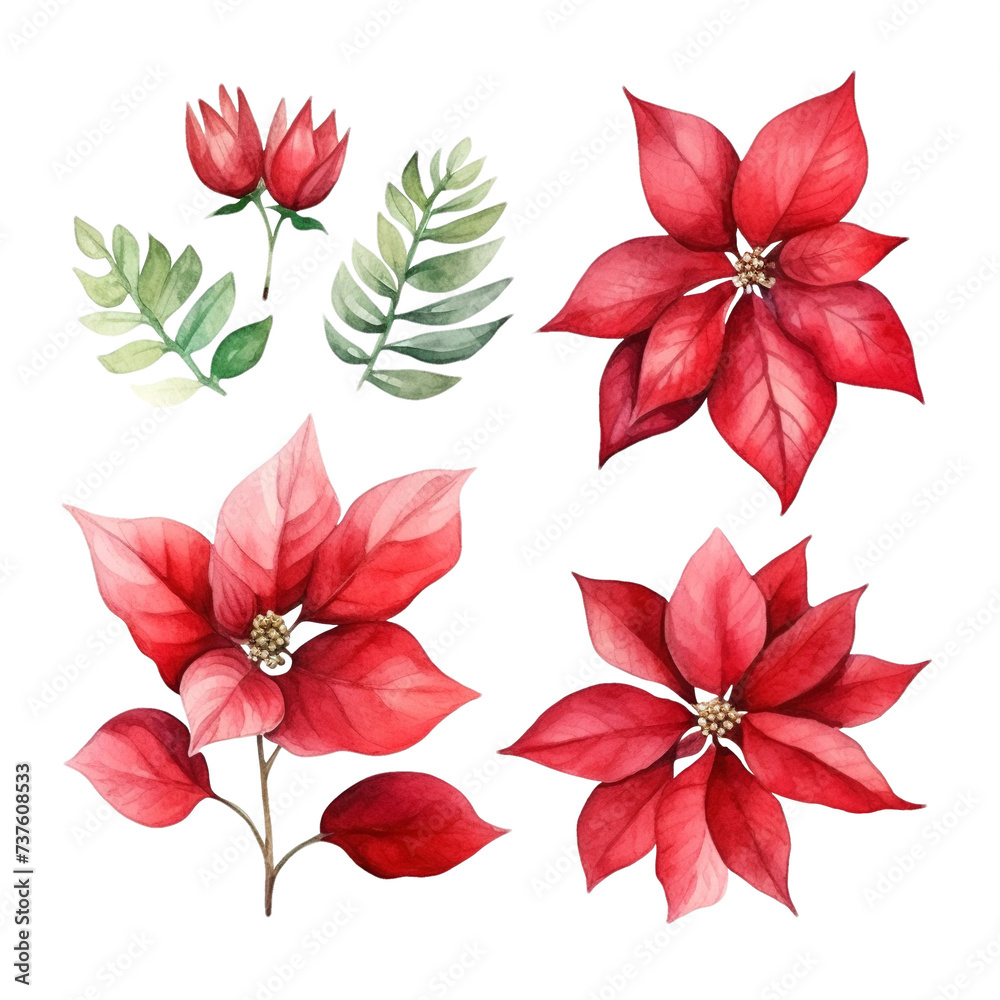 Watercolor Poinsettias and Leaves Collection