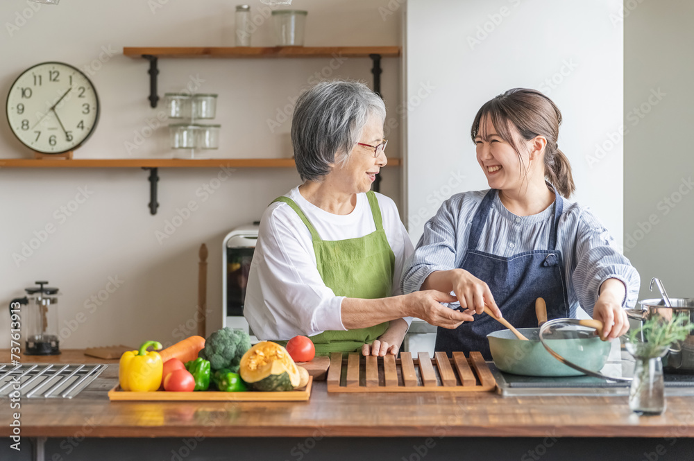 家のキッチンで一緒に料理・家事・自炊をする笑顔のアジア人高齢者女性と若い女性(家政婦・家事代行)
家のキッチンで一緒に料理・家事・自炊をする笑顔のアジア人高齢者女性と若い女性(家政婦・家事代行)