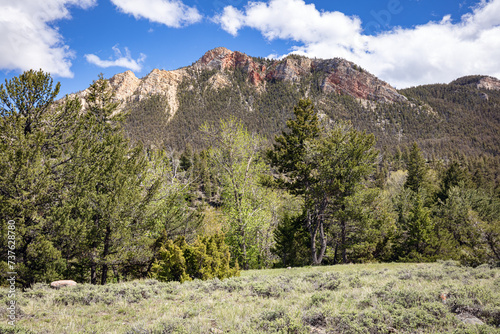 Shoshone National Forest and mountain landscape in northwest Wyoming, USA during summer. 