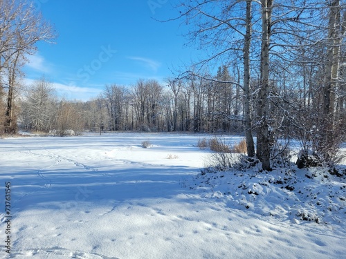 Winter Landscape in the Methow Valley, Washington, USA photo