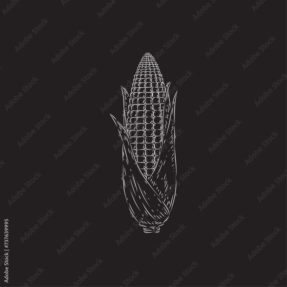 Corn flat vector design Corn flat vector design