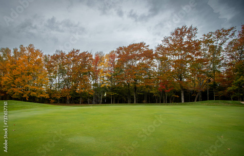 golf green in the fall surround by trees