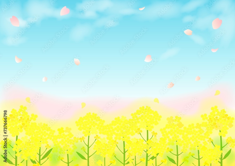 春の菜の花畑と桜の風景イラスト