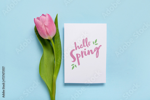 Greeting card with text HELLO SPRING and beautiful pink tulip on blue background