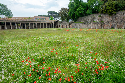 Quadriporticus of the Theatres - Italy photo