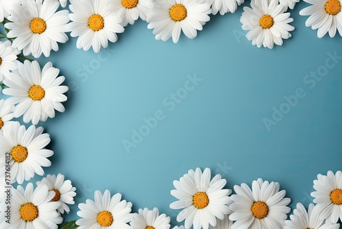 A banner made of daisy flowers on a blue background. © kvladimirv
