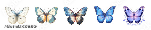 Watercolor butterfly on white background.Isolated image. © mangolovemom