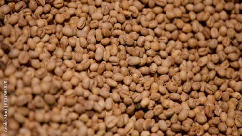 Coffee bean sizing machine in the factory. Slow motion shot.