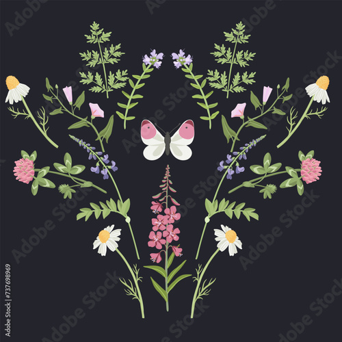 field flowers and butterfly, vector drawing wild plants and insect at black background, floral composition for cover design, natural print in boho style, hand drawn botanical illustration