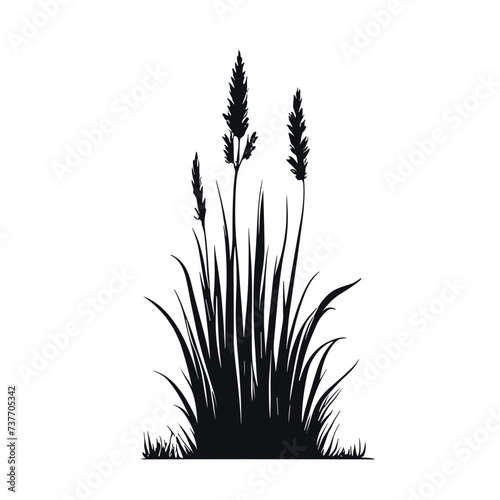 Wild Grass, Grass , Lawn, Botanical Grass, Grass Svg, Grass Clipart, Lawn Svg, Grass Cut File, Grass silhouette, Grass Vector, Grass Cricut