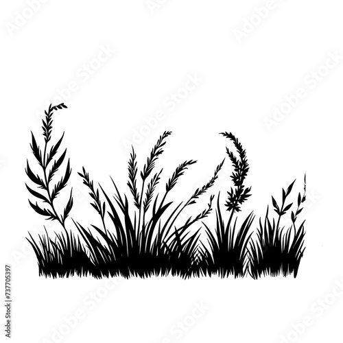 Wild Grass, Grass , Lawn, Botanical Grass, Grass Svg, Grass Clipart, Lawn Svg, Grass Cut File, Grass silhouette, Grass Vector, Grass Cricut