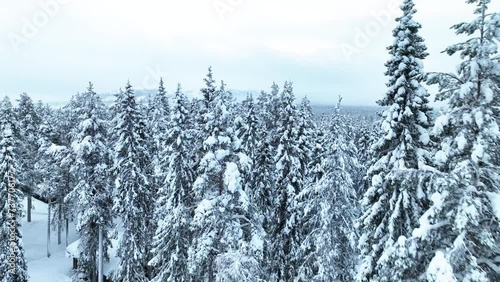 Flying Over Frozen Forests In Pyha, Finland - Drone Shot photo